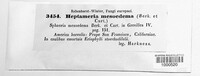 Image Associated With the Occurence